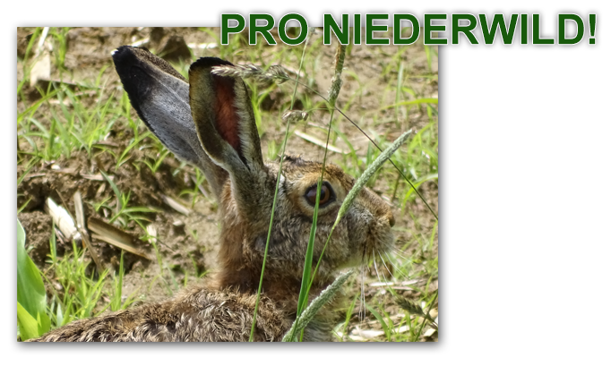 pro niederwild_wir machen was fuer unser niederwild_hegeerfolge niederwild